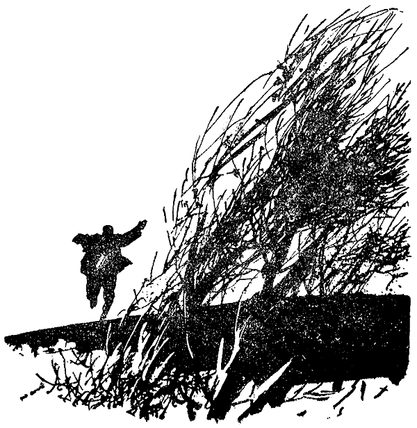 Искатель. 1971. Выпуск №3 i_021.png