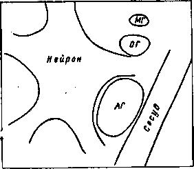 Мозг в электромагнитных полях i_011.png