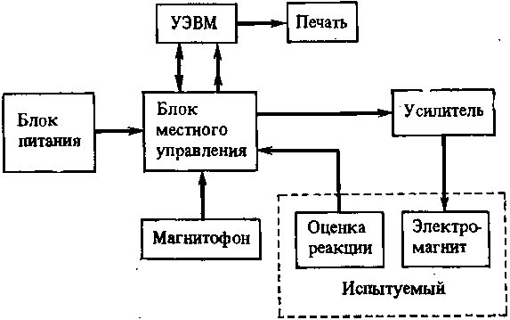 Мозг в электромагнитных полях i_002.png