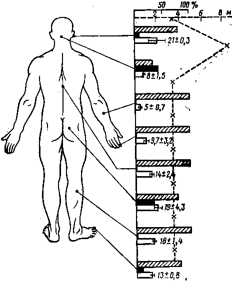 Мозг в электромагнитных полях i_004.png