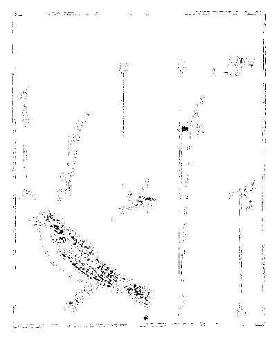 Почему перелетные птицы возвращаются домой i_015.png
