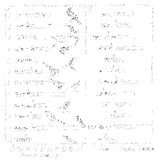 Почему перелетные птицы возвращаются домой i_018.png