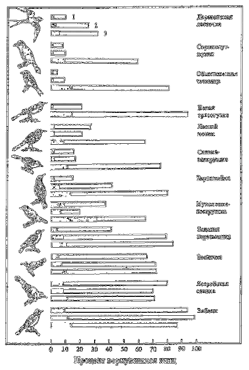 Почему перелетные птицы возвращаются домой i_004.png