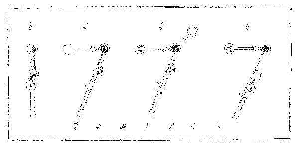 Почему перелетные птицы возвращаются домой i_023.png