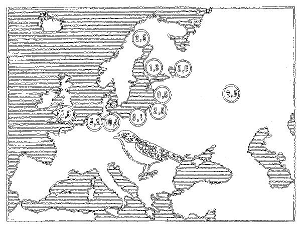 Почему перелетные птицы возвращаются домой i_007.png