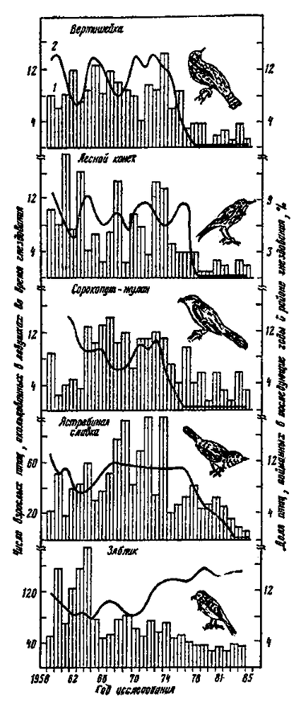 Почему перелетные птицы возвращаются домой i_014.png