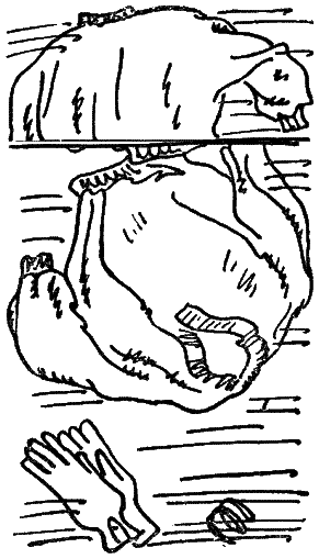 Два и две семерки i_01.png