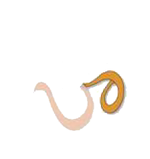 i_007.png