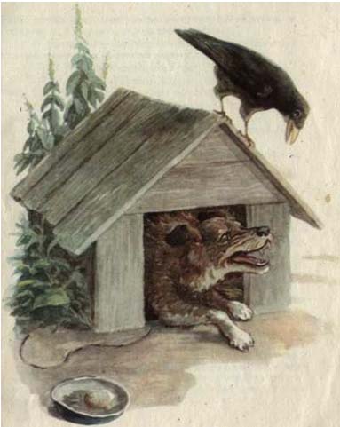 Про косматых и пернатых (рассказы) _4.jpg