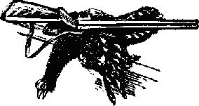 Про косматых и пернатых (рассказы) _7.png