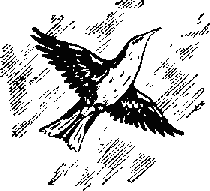 Про косматых и пернатых (рассказы) _9.png