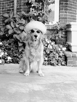 A Big Little Life: A Memoir of a Joyful Dog pic_7.jpg