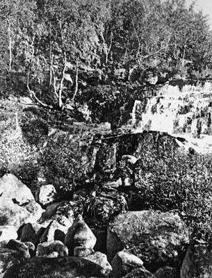 Большая Советская Энциклопедия (ФИ) i010-001-268645156.jpg