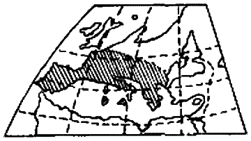 Откровение в грозе и буре i_35.png