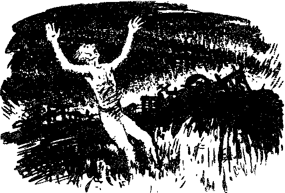 Чорні зорі doc2fb_image_03000013.png