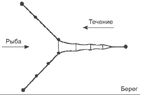 Подъемники, ловушки, кастинговые сети i_003.png