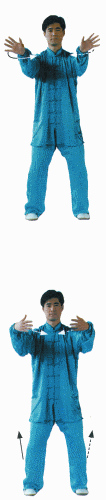 Оздоровительный цигун Лю Цзи Цзье i_038.png
