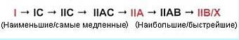 Революция мышц _24.jpg