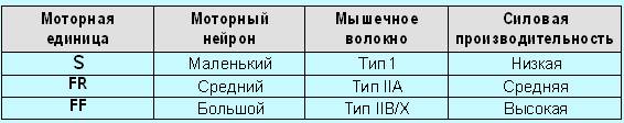 Революция мышц _25.jpg