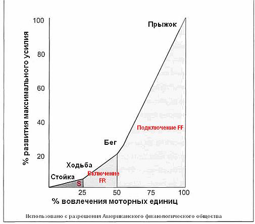 Революция мышц _26.jpg
