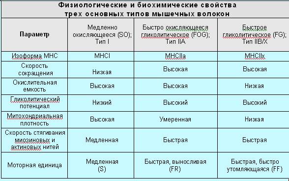 Революция мышц _27.jpg
