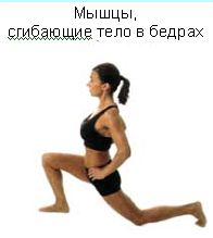 Революция мышц _37.jpg