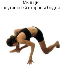 Революция мышц _38.jpg