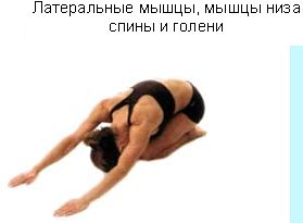 Революция мышц _39.jpg