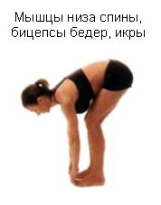 Революция мышц _42.jpg