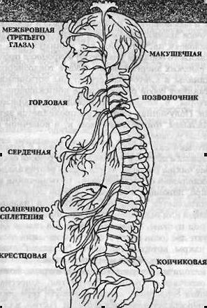 Вибрационная медицина _14.jpg