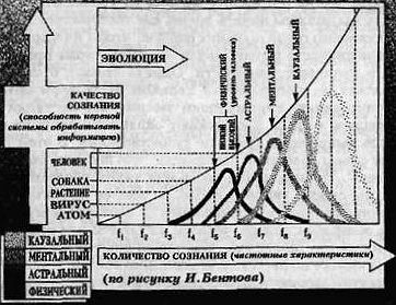 Вибрационная медицина _22.jpg