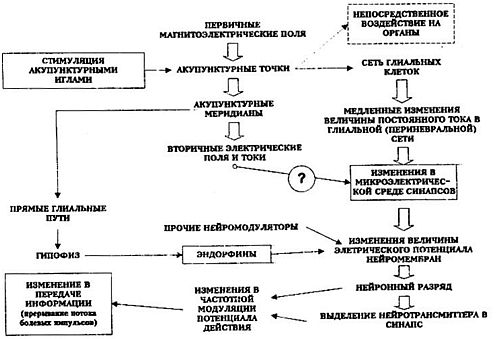 Вибрационная медицина _26.jpg