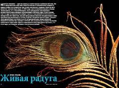 Журнал «Вокруг Света» №7 за 2004 год any2fbimgloader0.jpeg
