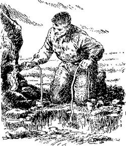 Золотое дно i_027.jpg