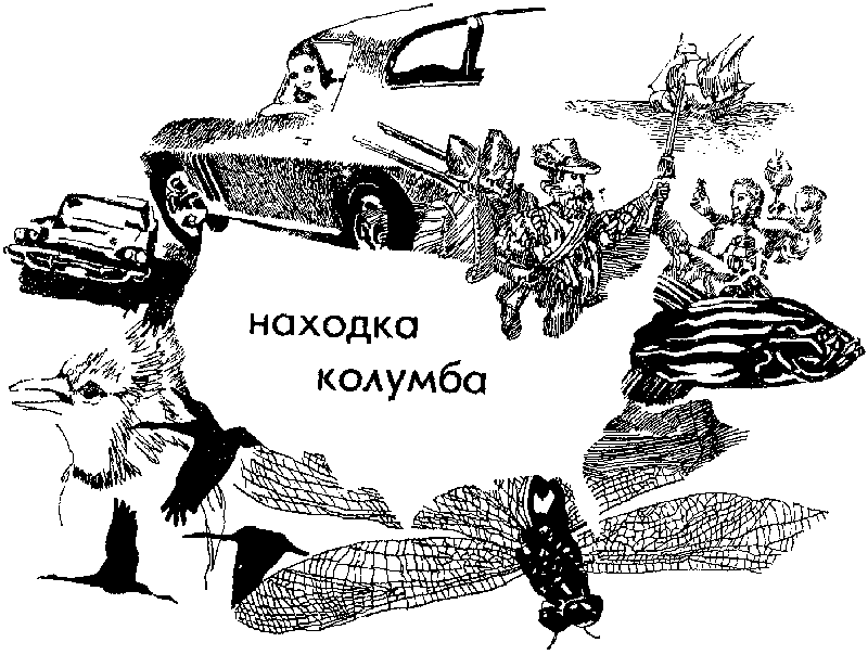 Земля за океаном pic300.png