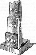 Знай и умей. Самодельные коллекции по ботанике и зоологии i_032.jpg