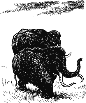 Приключения Лана и Поуна any2fbimgloader15.png