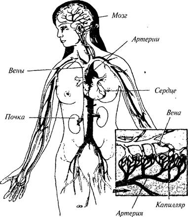 Чудо релаксации image006.jpg