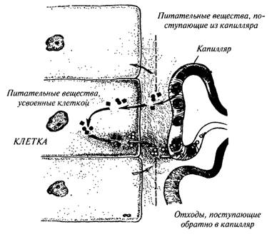 Чудо релаксации image008.jpg