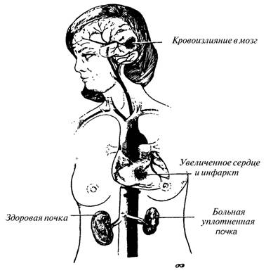 Чудо релаксации image012.jpg