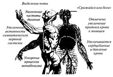 Чудо релаксации image018.jpg