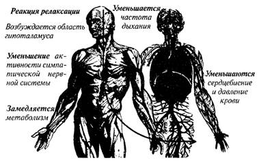 Чудо релаксации image022.jpg