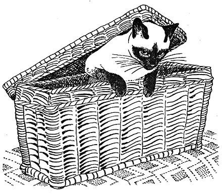 Новый мальчик i_026.png