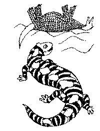 Сборник рассказов i_007.png