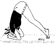 Древние тантрические техники йоги и крийи. Продвинутый курс image096.png
