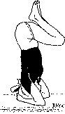 Древние тантрические техники йоги и крийи. Продвинутый курс image113.png