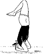 Древние тантрические техники йоги и крийи. Продвинутый курс image114.png