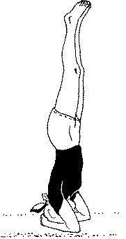 Древние тантрические техники йоги и крийи. Продвинутый курс image115.png