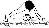Древние тантрические техники йоги и крийи. Продвинутый курс image135.png