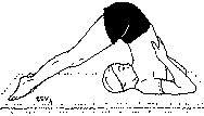 Древние тантрические техники йоги и крийи. Продвинутый курс image137.png